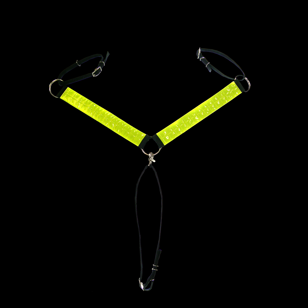 BREASTPLATE REFLECTIVE STRINGS
